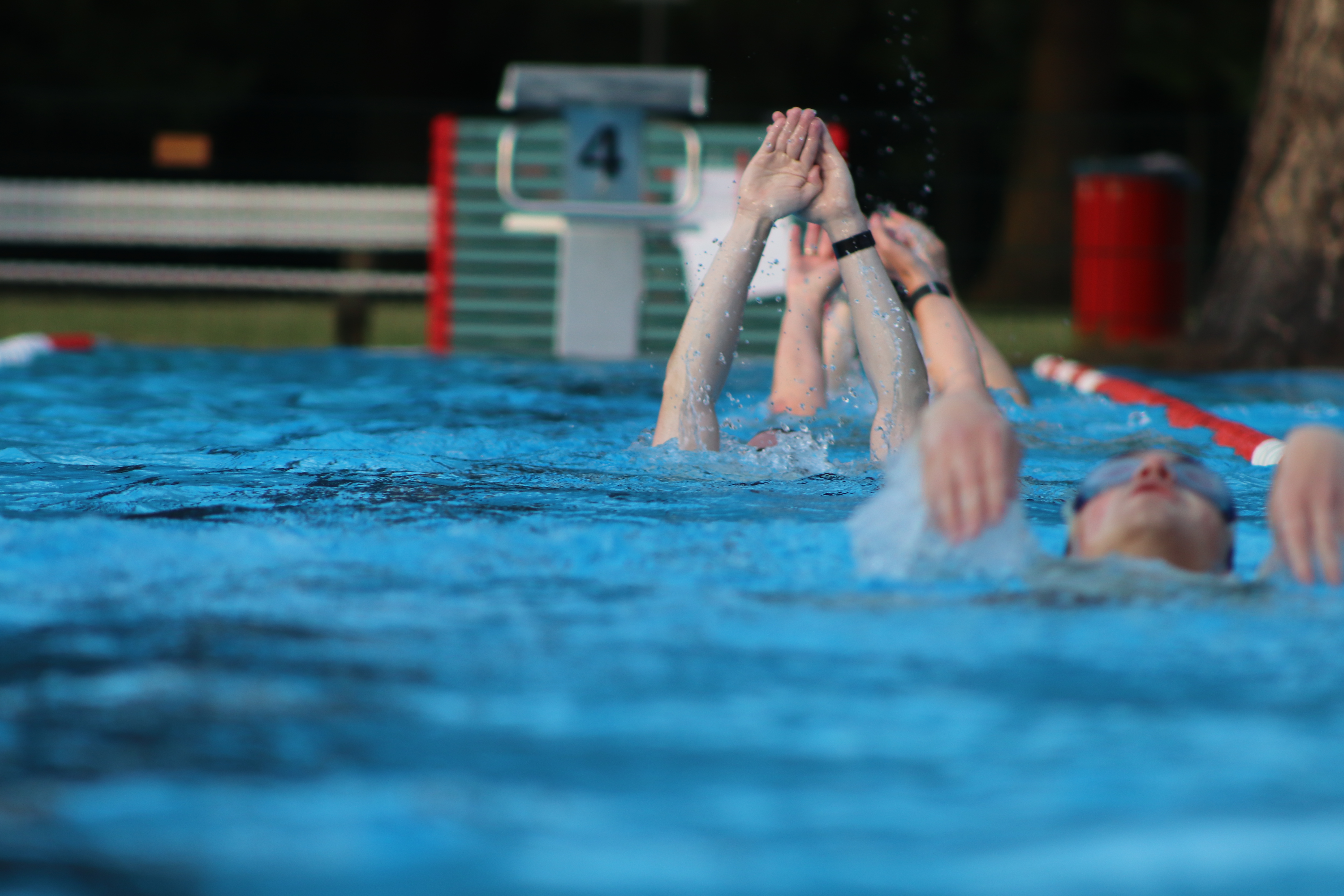 Schwimmer schwimmen auf dem Rücken im Freibad